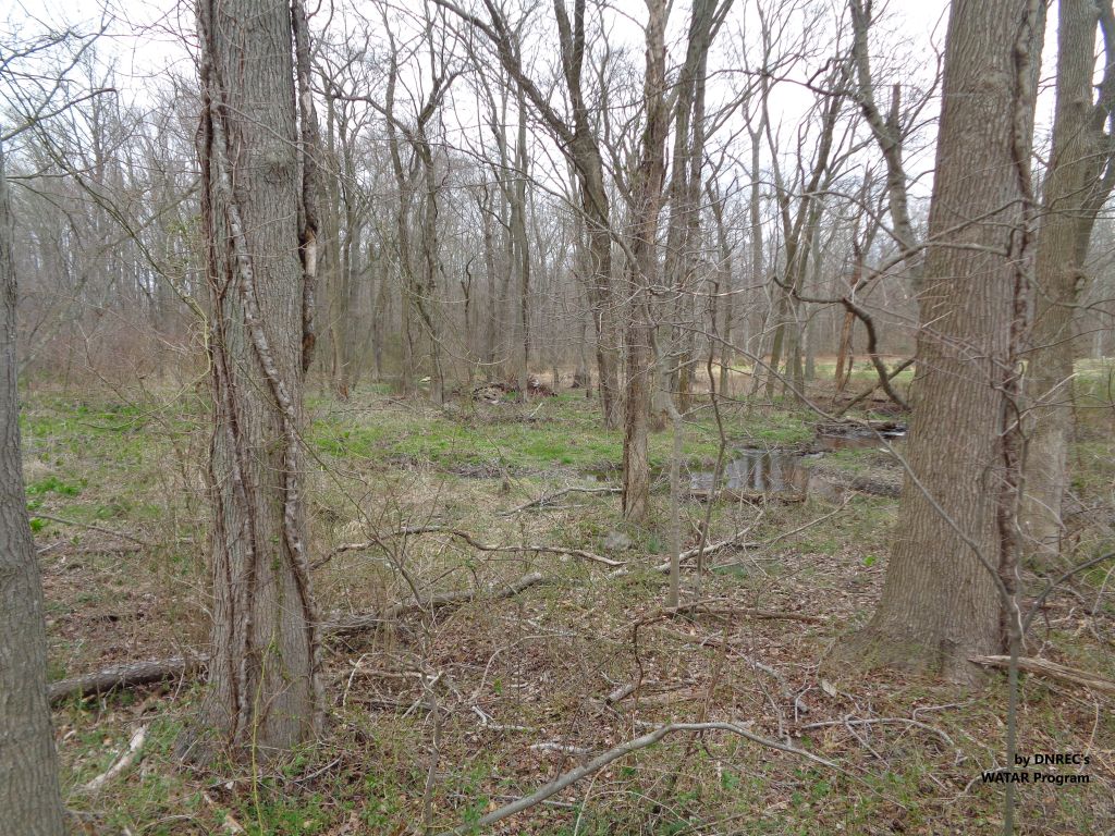 Duane-Loveland_Brecks-Mil-on-Brandywine